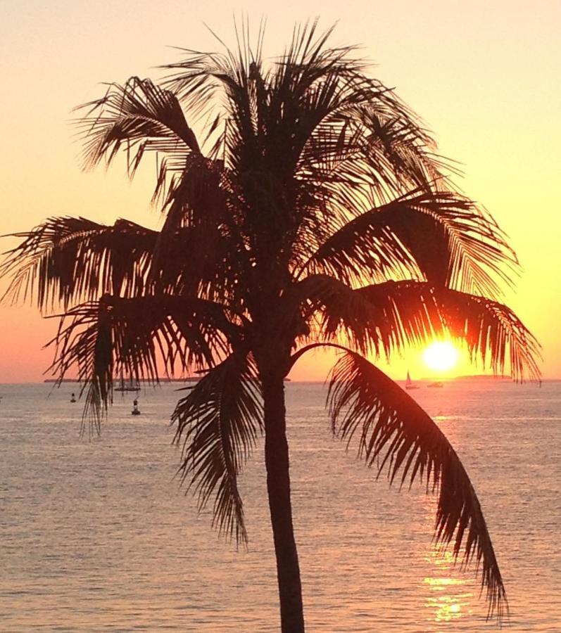 Family, Couples Retreat Near Airport, Cruise Port & Beaches Fort Lauderdale Buitenkant foto